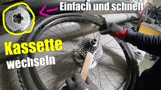 So einfach Kassette Einbauen und wechseln  EBike Fahrrad Tutorial  Reinigung [upl. by Yrovi623]