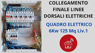 20 COLLEGAMENTO FINALE LINEE DORSALI ELETTRICHE QUADRO ELETTRICO 6Kw 125Mq Liv1 [upl. by Narot]