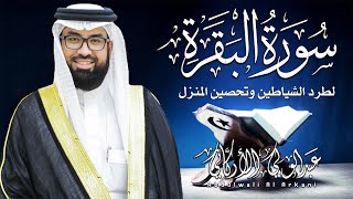 سورة البقرة كاملة للشيخ عبدالولي الاركاني لطرد الشياطين من منزل وجلب البركة باذن اللهSurat Albaqara [upl. by Sontag]