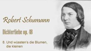 Schumann  Dichterliebe op48  no8wmv [upl. by Yeldah]