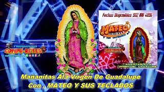 POPURRI MAÑANITAS ALA VIRGEN DE GUADALUPE  COM MATEO Y SUS TECLADOS [upl. by Ldnek]