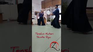 Practice Tenshin Katori Shinto Ryu [upl. by Adnileb]