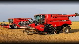 Case IH 9230 amp 8010  Summer Harvest 2016 [upl. by Leandro41]