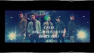 cnco  reggaetón lento bailemos slowed  reverb [upl. by Boorman710]