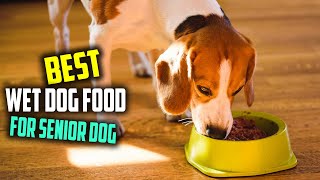 Best Wet Dog Food for Senior Dog Top 5 Review  High Protein Senior Wet Dog Food 2023 [upl. by Annek583]