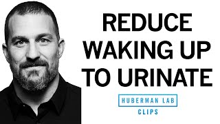 How to Reduce Nighttime Urination  Dr Andrew Huberman [upl. by Leoline]