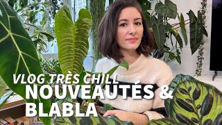 Vlog • haul plantes arrosage amp beaucoup de papotage [upl. by Davy]