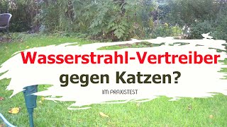 Wasser gegen Katzen  WasserstrahlTiervertreiber im Test   Katzen vertreibenvergrämen [upl. by Devan]