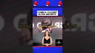 Canelo Álvarez ultra instintos boxeo boxing box [upl. by Noillimaxam]