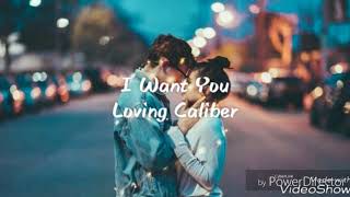 I Want You  Loving Caliber  Lyrics  lyric video [upl. by Einnahpets737]