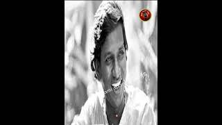 Sigappu Rojakkal movie  Ilayaraja Best BGM  Ilayaraja Forever [upl. by Somerset829]