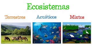 🌎 Los ECOSISTEMAS y sus TIPOS 🐝 Fácil y Rápido  BIOLOGÍA [upl. by Kapeed570]