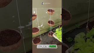 Amazing Transform coconut husks into a vertical garden 🌴✨ Part 01 🌍 shorts short unique [upl. by Eniluj891]