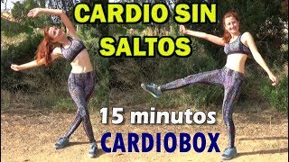 Cardio para Quemar muchas Muchas Calorías y Grasa  Sin Saltos Bajo Impacto [upl. by Anatole]