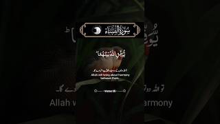 Surah AnNisa Ayat 35  Beautiful Recitation by Saad AlGhamdi  quran recitation  shorts [upl. by Raveaux]