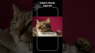 Todays words오늘의 단어  advanced learners 18 vocabulary advanced 영어단어 [upl. by Lanie]