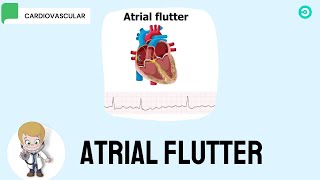 Atrial Flutter symptoms ECG features and Treatment options [upl. by Adnaloj]