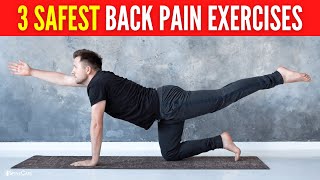 3 Safest Lower Back Pain Exercises FOR LONG LASTING RELIEF [upl. by Devi811]