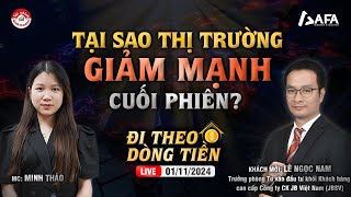 TẠI SAO THỊ TRƯỜNG GIẢM MẠNH CUỐI PHIÊN  ĐTDT 01112024 [upl. by Nivlek]