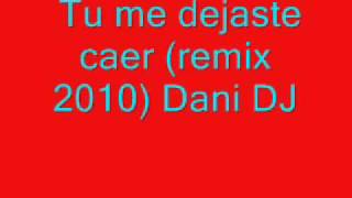 Tu me dejaste caer remix 2010 Dani DJ puebla de cazalla [upl. by Harriman934]