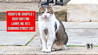 No10s Downing Street Cat Larry  Rishis Reshuffle [upl. by Hselin]