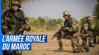 Le Renouveau de lArmée Royale du Maroc [upl. by Nathalie]