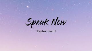 Speak Now  Taylor Swift Lyrics Video [upl. by Idalla152]