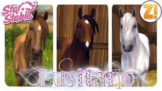 Star Stable SSO Lusitano  NEUE Rasse PFERDEKAUF DEUTSCH [upl. by Ylebmik]