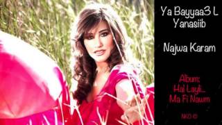 Najwa Karam  Ya Bayyaa3 L Yanasiib Official Audio  نجوى كرم  يا بياع اليانصيب [upl. by Codding]