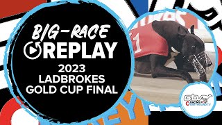 2023 Ladbrokes Gold Cup  Links Maverick  Greyhound Replays  2023 Big Finals [upl. by Nnylram524]