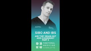 SIBO and IBS  Are they BrainGut Axis disorders  Part 3  What does the Vagus nerve do to the gut [upl. by Nwahsiek]