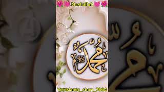 Best Edits In The Muslim 🌺🥀naatsharifshortvideosshortsytshortviralvideotreanding100kviews [upl. by Ynohtona]