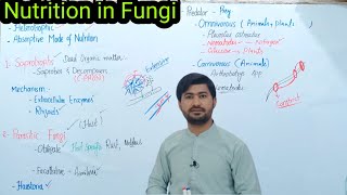 Nutrition in Fungi  Fungal nutrition Fsc Biology Class 11 By irtisamsbiology [upl. by Ytissahc]