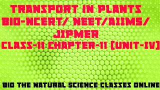 BiologyTransport in PlantsEpisode8Ch1111th NCERTNEETUG 202122AIIMSJIPMERPlant Physiology [upl. by Akessej]