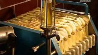 How Vegetable Oil Is Made [upl. by Yelreveb963]