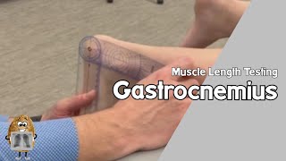 MLT Gastrocnemius Muscle Length TestingNonWeightbearing [upl. by Amersham]