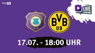 Testspiel FC Erzgebirge Aue  Borussia Dortmund [upl. by Amend]