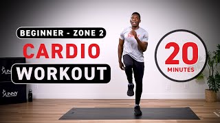 Beginner Zone 2 Cardio Workout  BODYWEIGHTNO EQUIPMENT  20 Minutes [upl. by Anaya]