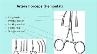 Difference Between the Needle Holder and the Artery Forceps Hemostat [upl. by Niels]