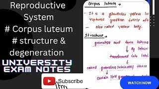 Corpus luteumfate of corpus luteumstructure of corpus luteumfunctions of corpus luteum [upl. by Aeneg]