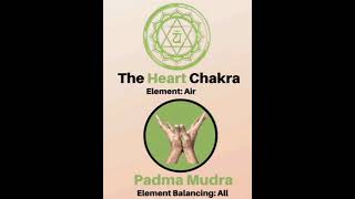 7 Yoga Mudras to Unlock 7 Chakras [upl. by Casar8]