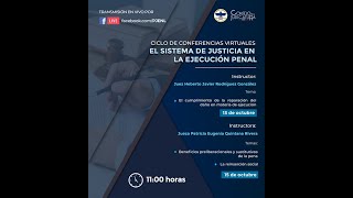 Beneficios preliberacionales y sustitutivos de la pena La reinserción social [upl. by Eidac296]