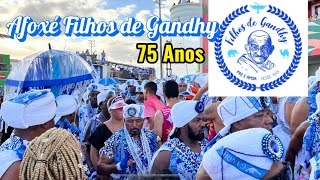 Afoxé Filhos de Gandhy 75 Anos de Tradição no Carnaval de Salvador 2024 circutobarraondina [upl. by Mirella]