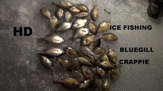 ICE FISHING BLUEGILL amp CRAPPIE [upl. by Cornia]