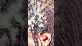 How to make dreadlock hair hairtutorial dreadlocks youtubers subscribe [upl. by Idnyc428]