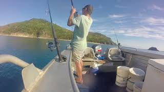 Mackay Cockermouth IslandShallow water reef fishing [upl. by Dwain]