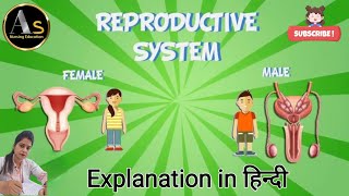 reproductive system anatomy amp physiology l Menstrual cycle l reproductive system of male amp female [upl. by Mab]