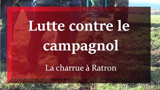 MACHINISME LUTTE CONTRE LE CAMPAGNOL  LA CHARRUE A RATRON [upl. by Yatnwahs]