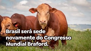 Brasil será sede novamente do Congresso Mundial Braford [upl. by Rocray361]