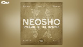 Neosho Responsibility not Regulation PART 5  The Ozark Podcast [upl. by Sucirdor]